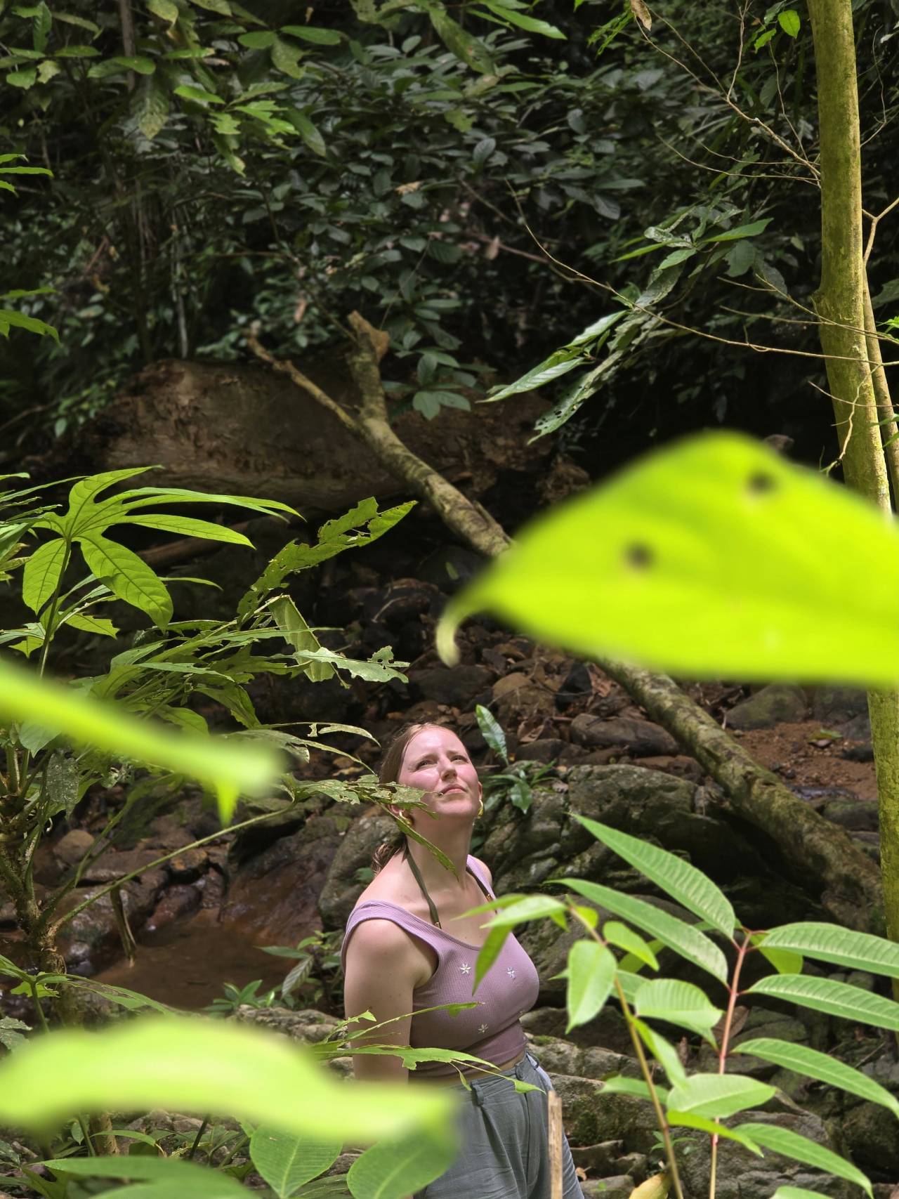 image of Tropical Jungle & Farmland Walk Phuket tour in Phuket