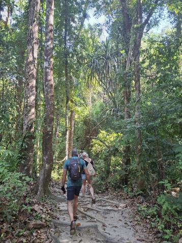 image of Tropical Jungle & Farmland Walk Phuket tour in Phuket