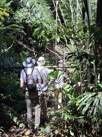 image of Tropical Jungle & Farmland Walk Phuket tour in Phuket