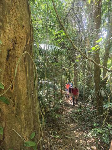 image of Tropical Jungle & Farmland Walk Phuket tour in Phuket