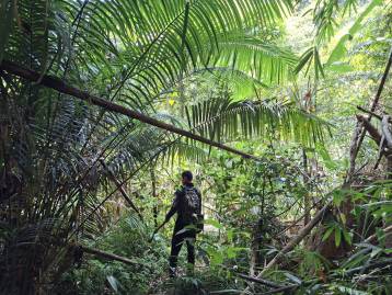 Nature Walking Tour tour in Phuket