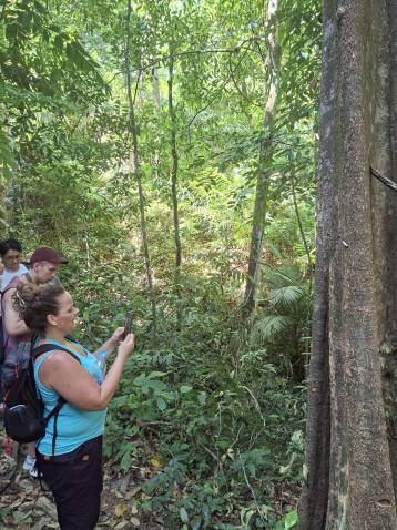 image of Tropical Jungle & Farmland Walk Phuket tour in Phuket